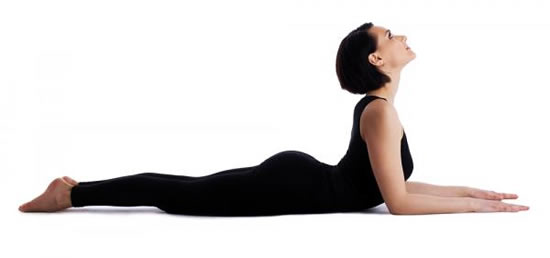 sphinx pose - back pain yoga poses